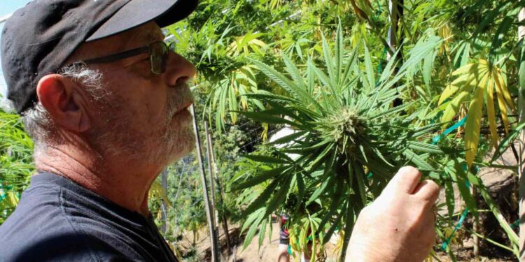 Putting Anderson Valley on the Map