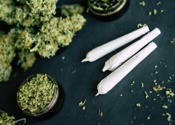 Oregon Weed Glut Continues in 2023