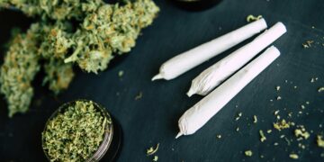 Oregon Weed Glut Continues in 2023