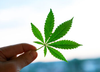 Ohio Congressman To File Federal Cannabis Legalization Bill