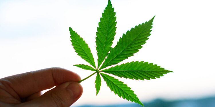 Ohio Congressman To File Federal Cannabis Legalization Bill