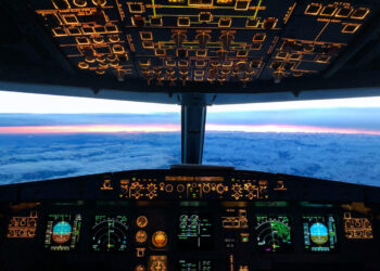 Shroomed Out Ex-Pilot Who Tried to Cut Engines Released from Jail Pending Trial