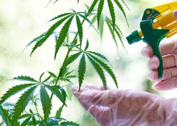 Hemp Cannabinoids Could Be Source of New Pesticides