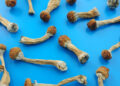 Over 700 People Legally Tripped Shrooms in Oregon This Year
