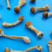 Over 700 People Legally Tripped Shrooms in Oregon This Year