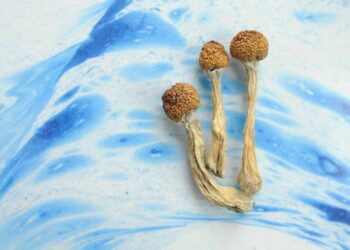 Detroit Psychedelic Church Files To Move Case To Federal Court