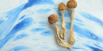 Detroit Psychedelic Church Files To Move Case To Federal Court