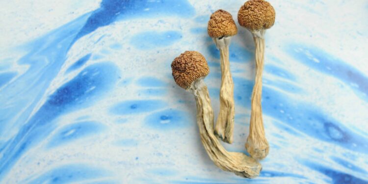 Detroit Psychedelic Church Files To Move Case To Federal Court