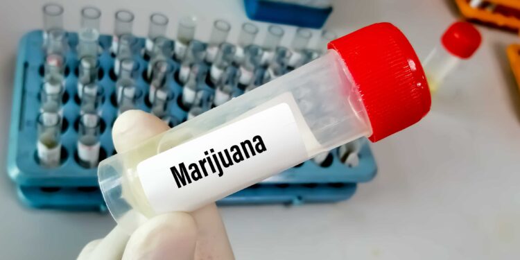 Cleveland, Ohio Mayor Ends Pre-Employment Drug Testing for Pot