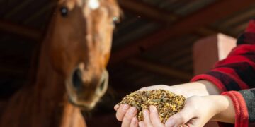 New York Gov. Hochul Vetoes Measures To Allow Hemp Seeds in Animal Feed