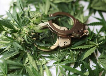 Denver Cops Bust 23 Suspects Accused of Dispensary Burglaries