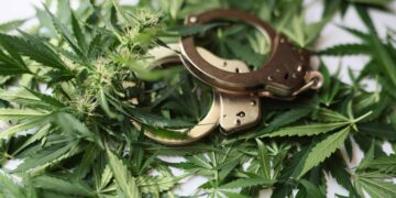 Denver Cops Bust 23 Suspects Accused of Dispensary Burglaries