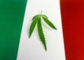 Italian MJ Reform Campaign Gains Nearly Half of Needed Signatures in One Week