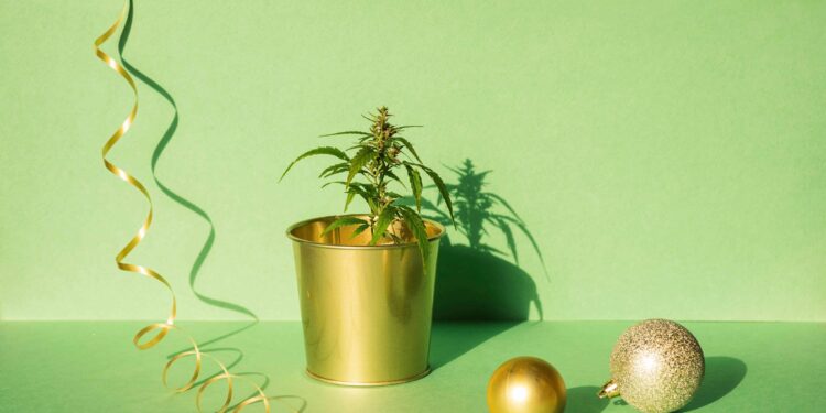 New Year Brings Employment Protections for California Cannabis Users