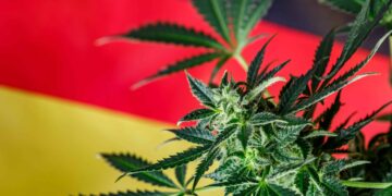 Germany Eyes April 2024 for Cannabis Legalization
