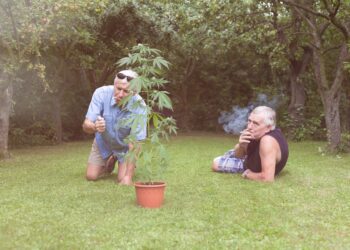More Than 10% of Older Americans Have Used Cannabis in the Last Year
