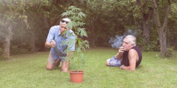 More Than 10% of Older Americans Have Used Cannabis in the Last Year