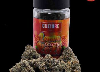 The Winners of the High Times Cannabis Cup Oregon: People’s Choice Edition 2023
