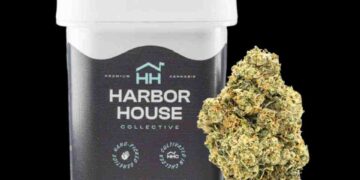 The Winners of the High Times Cannabis Cup Massachusetts: People’s Choice Edition 2023
