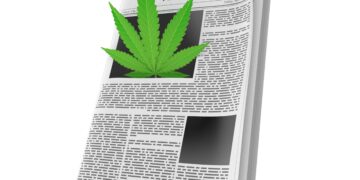 A Day in the Life of a Weed Journalist