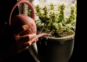 Arkansas Initiative Would Ease MMJ Program Restrictions, Introduce Rec Trigger Law