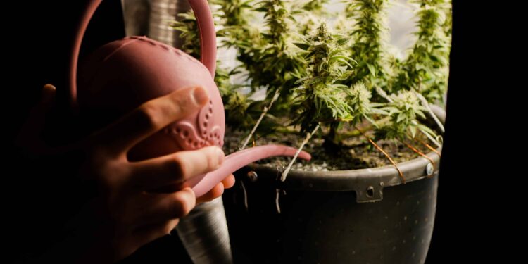 Arkansas Initiative Would Ease MMJ Program Restrictions, Introduce Rec Trigger Law