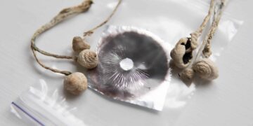 DEA Response Clarifies Psychedelic Mushroom Spores Are Legal Before Germination