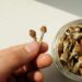 Rhode Island Bill Would Allow Psilocybin Cultivation, Possession Under 1 Ounce