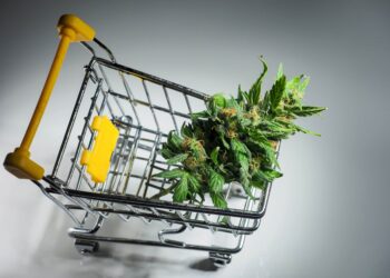 New Law Brings Secret Shoppers to Oklahoma Weed Dispensaries