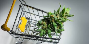 New Law Brings Secret Shoppers to Oklahoma Weed Dispensaries