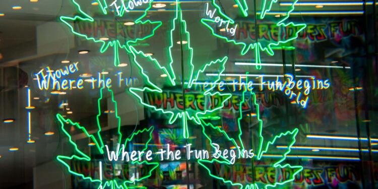 D.C. Council Approves Penalties for Unlicensed Weed Gifting Shops