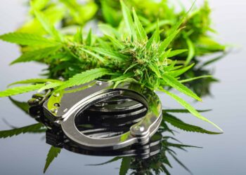 Report: More Than 2 Million Pot-Related Expungements Since 2018