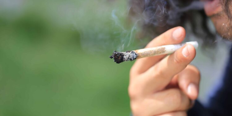 Newly Introduced Bill in Florida Proposes 10% Cap on Smokable THC Products