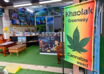 Thailand Seeks Public Opinion on Draft Bill To Ban Recreational Use After Decriminalizing