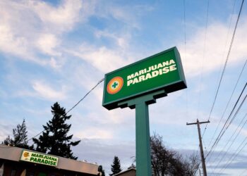 Report Says Minnesota Needs at Least 381 Dispensaries, Examines MJ Consumer Habits