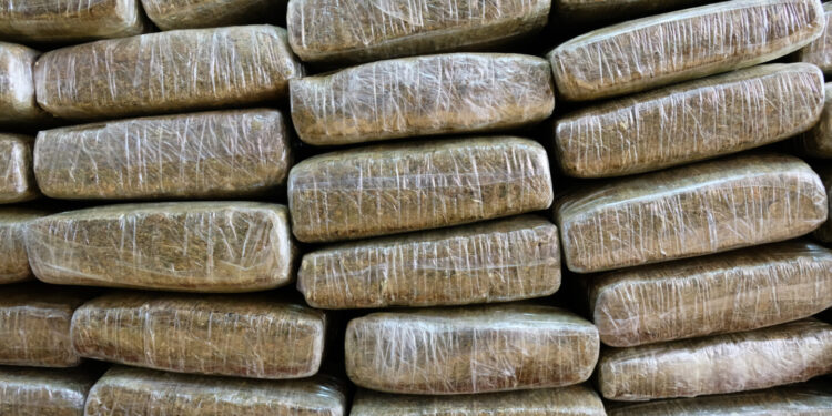 Wasted Weed: Canada’s Disposal of 3.7 Million Pounds of Cannabis Since 2018