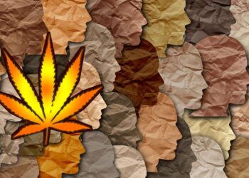 Cannabis Social Equity: Struggles, Success