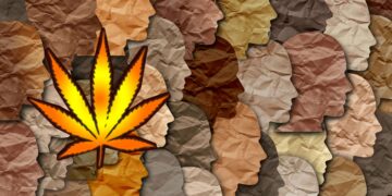 Cannabis Social Equity: Struggles, Success