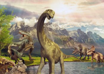 Psilocybin Mushrooms Date Back 65 Million Years to Dinosaur Extinction