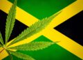 Jamaica Company Exports THC to U.S. for Analytic Testing