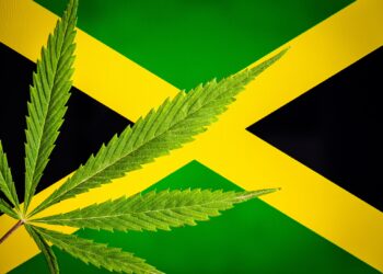Jamaica Company Exports THC to U.S. for Analytic Testing