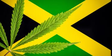Jamaica Company Exports THC to U.S. for Analytic Testing