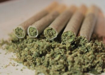 Ireland Government Approves a Nine-Month Delay on Cannabis Legalization Vote