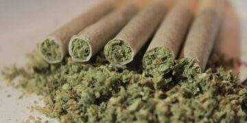 Ireland Government Approves a Nine-Month Delay on Cannabis Legalization Vote