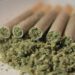 Ireland Government Approves a Nine-Month Delay on Cannabis Legalization Vote