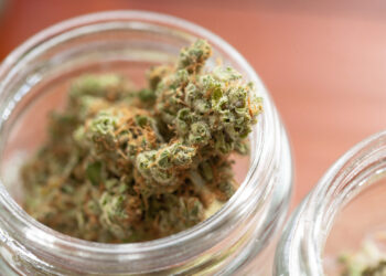 New Adult-Use Cannabis Business Licenses Approved in New York