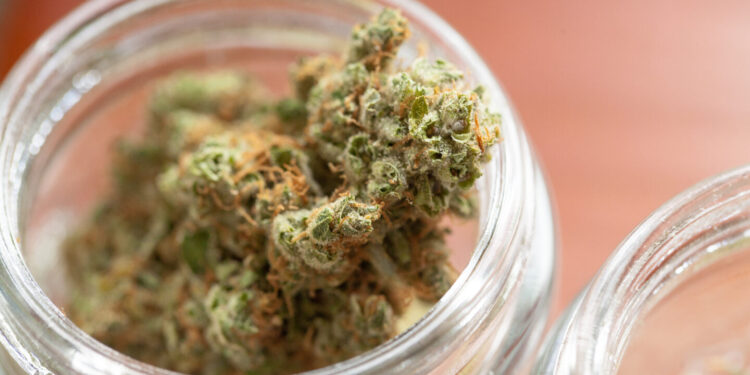 New Adult-Use Cannabis Business Licenses Approved in New York