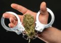 Mother Sues Tennessee Agencies for Using Cannabis Arrest To Separate Family