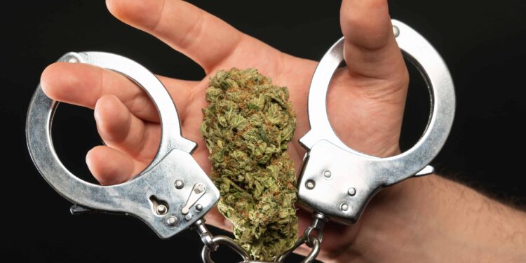 Mother Sues Tennessee Agencies for Using Cannabis Arrest To Separate Family