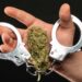 Mother Sues Tennessee Agencies for Using Cannabis Arrest To Separate Family
